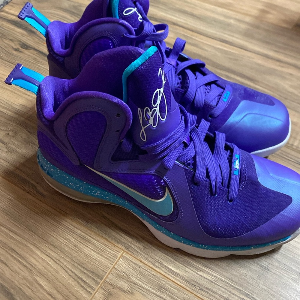 LeBron IX Summit Lake Charlotte Hornets